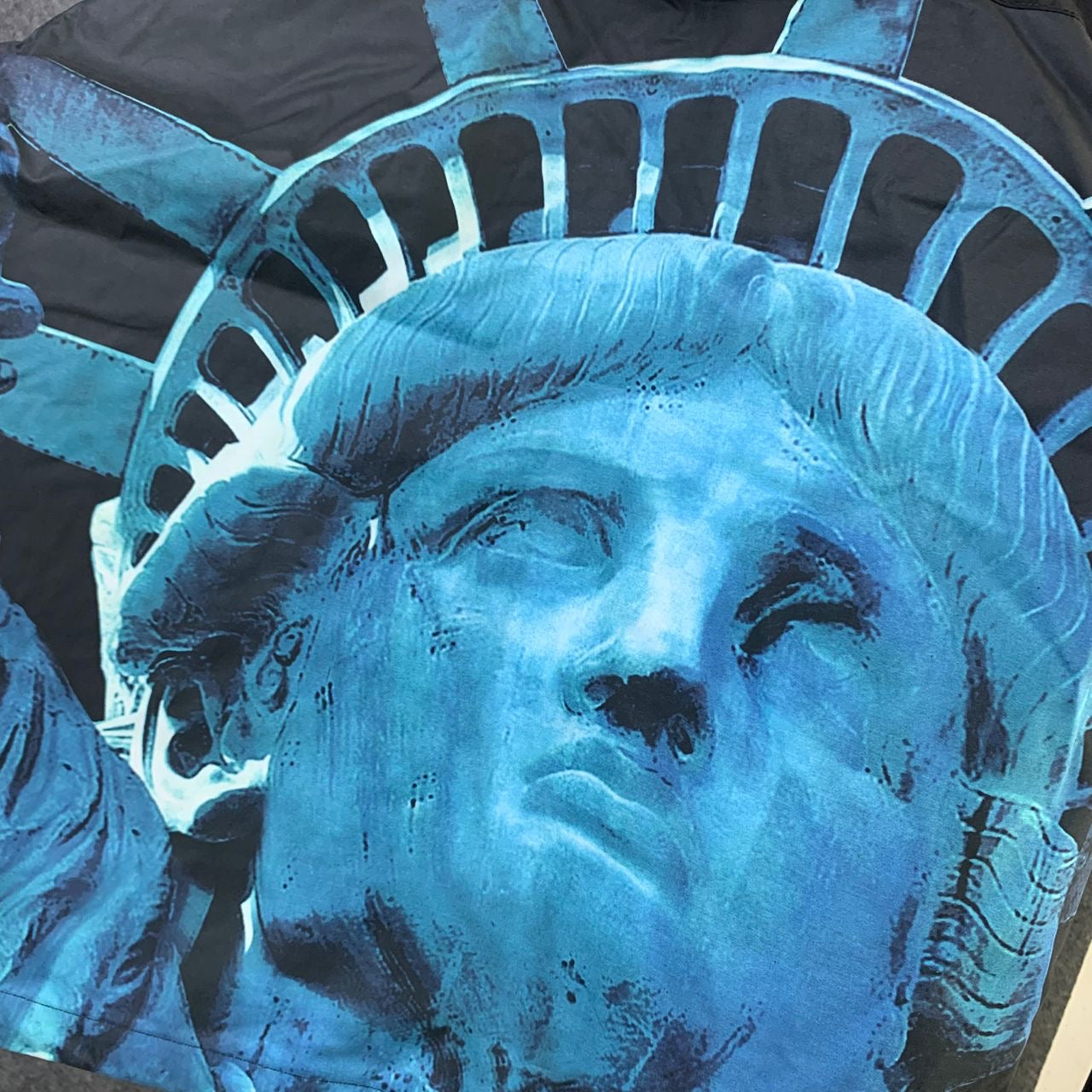 Supreme x The North Face Statue Of Liberty Mountain Jacket