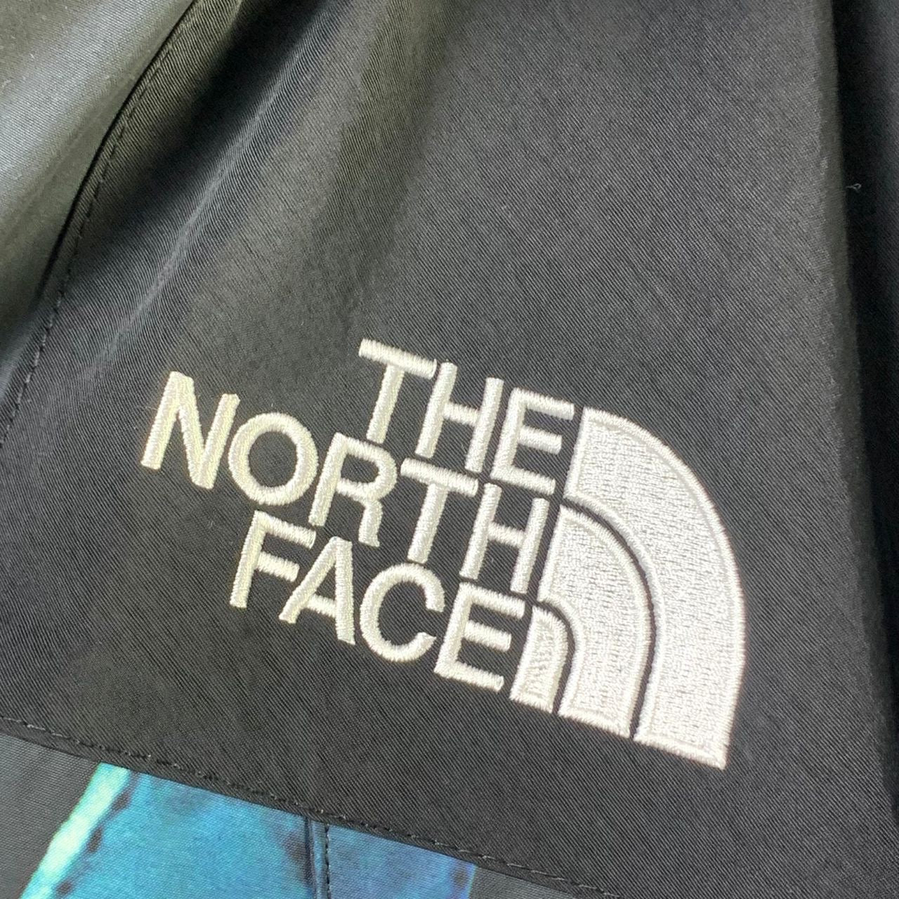 Supreme x The North Face Statue Of Liberty Mountain Jacket