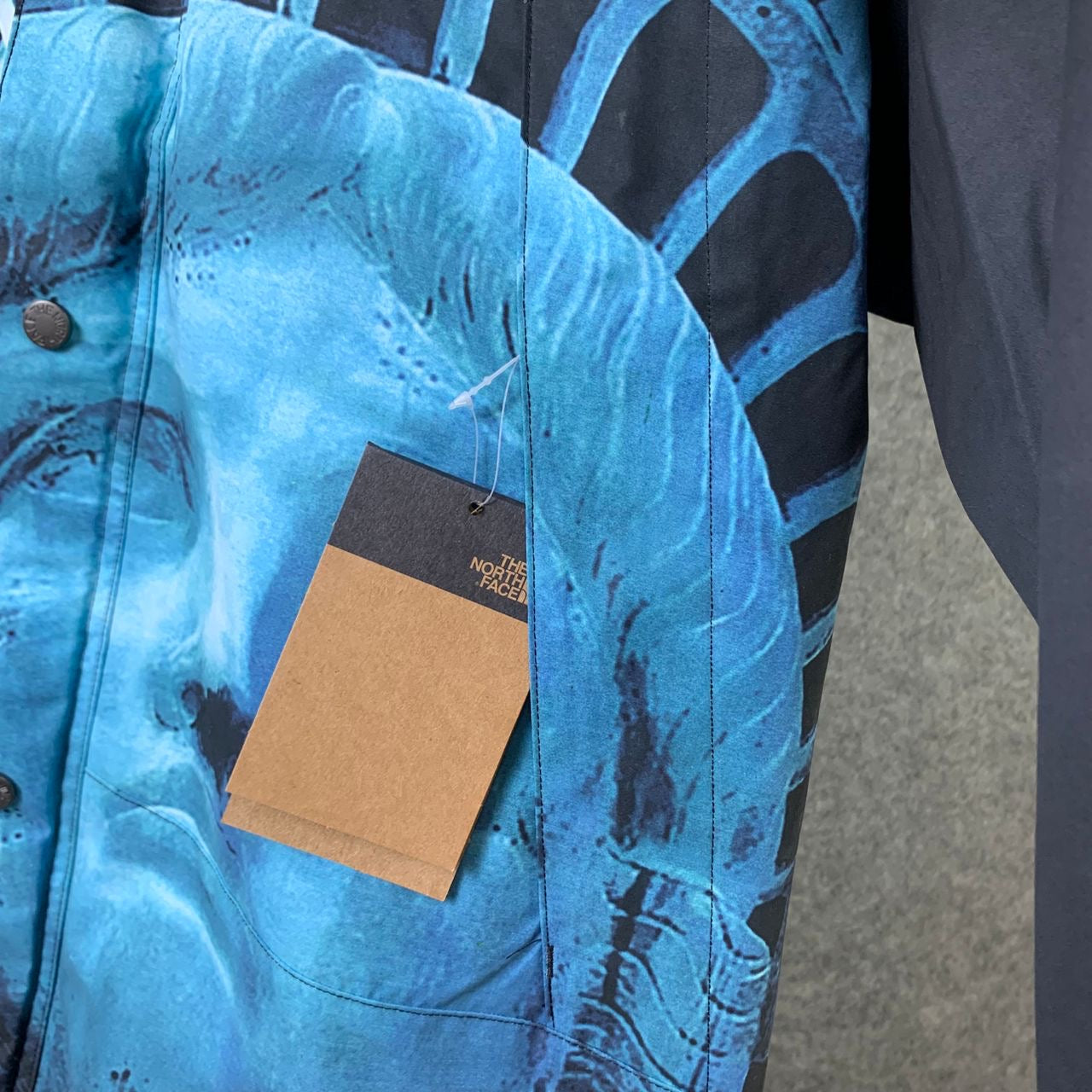Supreme x The North Face Statue Of Liberty Mountain Jacket