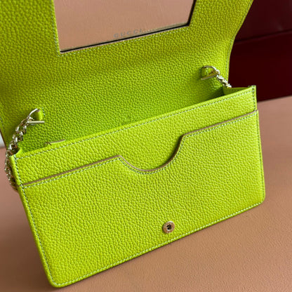 Gucci Marmont Chain Wallet Brown mix Light Green Leather 254943